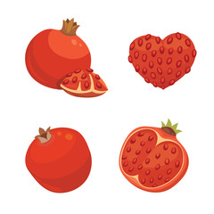 Fresh juicy ripe pomegranate fruit whith leaf vector illustration