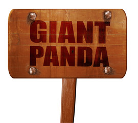 giant panda, 3D rendering, text on wooden sign © Argus