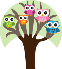 Four colorful owls sitting on the tree on a white background