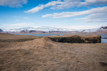 Iceland south coast landscape brown meadow in winter mountains with snow and blue sky