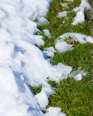 snow on grass
