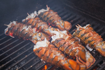 Close up of lobsters on a grill. Lobster food festival.