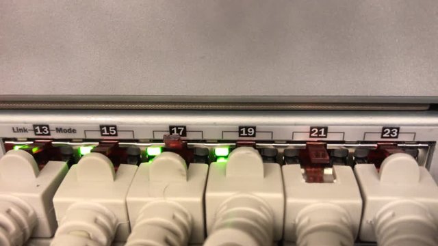 Netzwerkkabel an einem Netzwerk HUB 