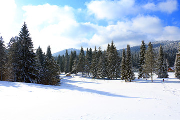 Mitrovac plateau at Tara mountain and national park, west Serbia