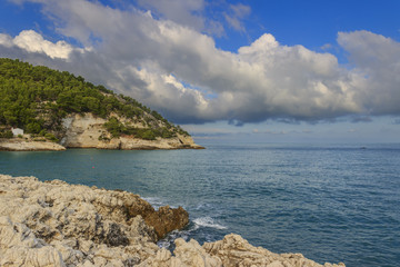 Fototapeta na wymiar Apula coast,Gargano National Park: Pungnochiuso Bay. Vieste,Italy.The bay is bounded by marvellous hills covered with age-old pine trees.