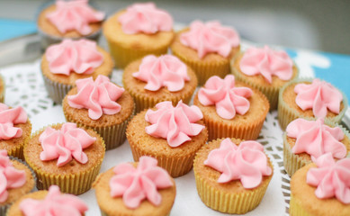 Beautiful selection of mini cupcakes on the plate