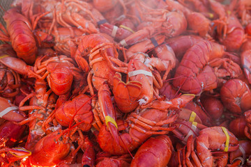 Lots of freshly boiled lobsters. Food lobster festival