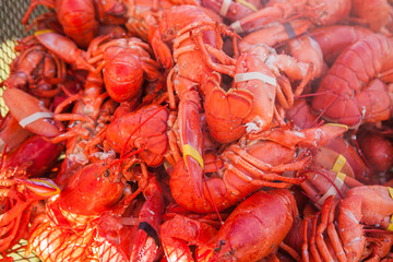 Lots of red freshly boiled lobsters. Food lobster festival