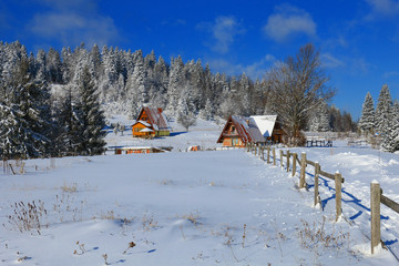 A snowy winter scene