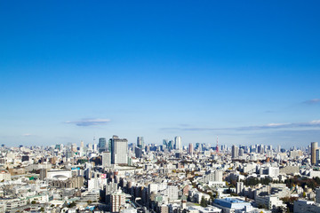 Obraz premium 東京の都市風景