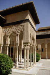 Fototapeta premium The andalusian gardens of Alhambra