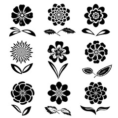 Dahlia, aster, daisy, chamomile, gowan, anemone, orchid flower set. Spring and summer flowers. Floral black symbols with leaves. May be used in cuisine. Vector isolated.  - 132776543