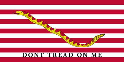 First Navy Jack flag of the United States of America