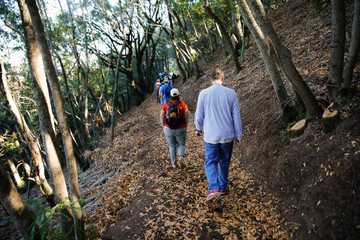 Hikers walk along a narrow hillside trail in autumn