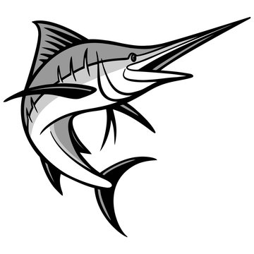 Swordfish Illustration