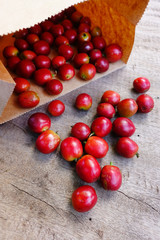Fresh coffee bean on wooden background