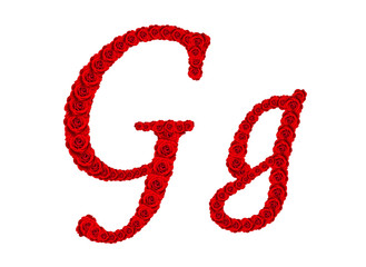 Rose alphabet - Alphabet letter G and g made from red rose bloss