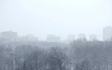 Photo sur Plexiglas Hiver winter city landscape in fog and park