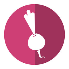 beet vegetable diet nutrition shadow vector illustration eps 10