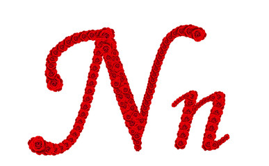 Rose alphabet - Alphabet letter N and n made from red rose blossom isolated on white background