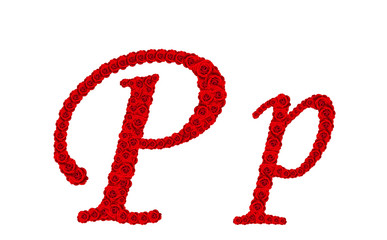 Rose alphabet - Alphabet letter P and p made from red rose bloss