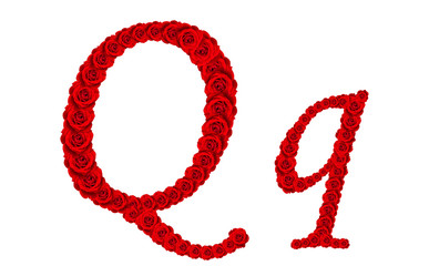 Rose alphabet - Alphabet letter Q and q made from red rose bloss