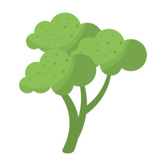 broccoli vegetable diet nutrition vector illustration eps 10