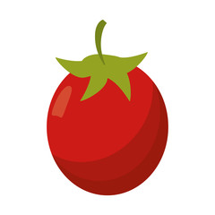 tomato vegetable diet nutrition vector illustration eps 10