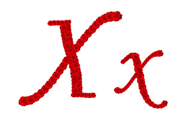 Rose alphabet - Alphabet letter X and x made from red rose bloss