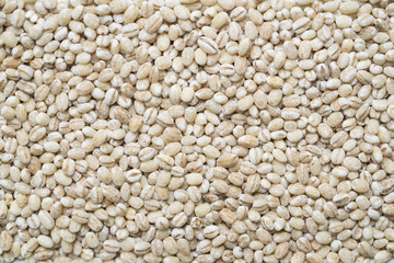 close up of barley beans, top view