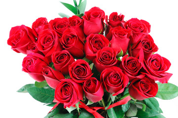 red rose background