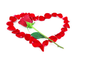 single red rose and red heart by rose petals