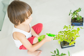 Kid holding plant growing organic herbs for cooking at home heal