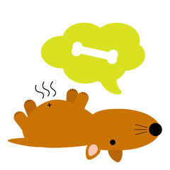 Cute fat brown hungry dog thinking of bone.