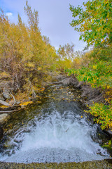 stream