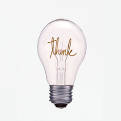 Creative idea of bulb isolated on white background.
