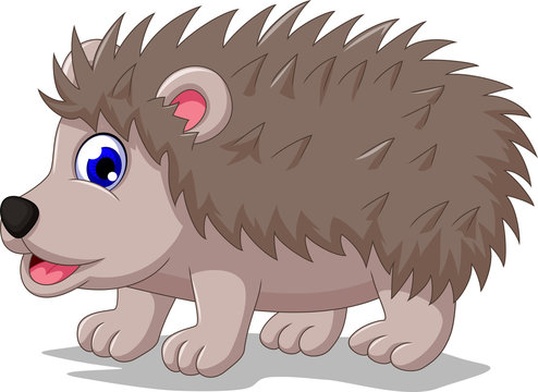 cute hedgehog cartoon posing