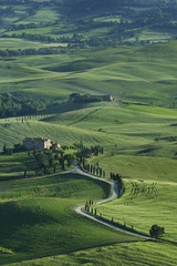 Fototapeta na wymiar idyllic landscape in Tuscany, Italy