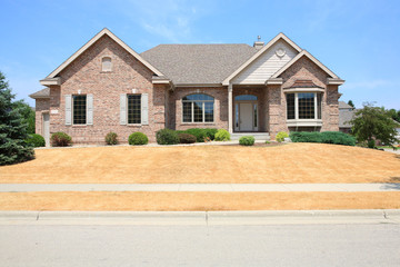 Suburn Lawn during drought