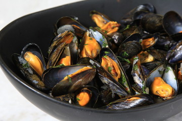 mussel