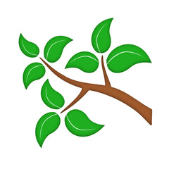 gałązka © robert6666