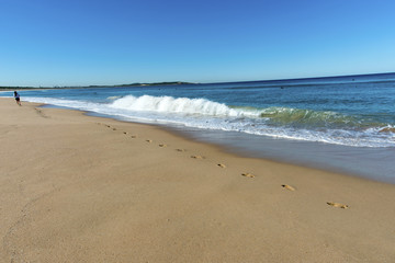Fototapeta na wymiar Cronulla Beach Sydney surfers runner jogger foam waves.