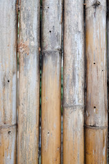 dried bamboo fence