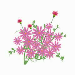 pink flower botanical flora vector illustration eps 10