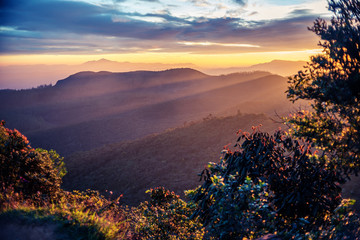 Sri Lanka: highland Horton Plains National Park
- 132788528