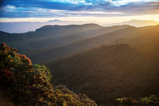 Sri Lanka: highland Horton Plains National Park
