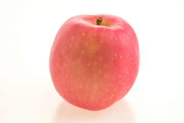 Apple fruit