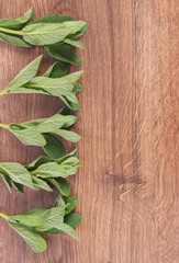 Fresh natural green mint leaves on rustic board, healthy lifestyle, copy space for text