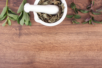 Fresh natural green and dried mint with mortar, healthy lifestyle, copy space for text