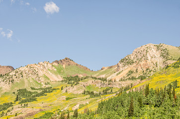 Summer in the Wasatch Mountains